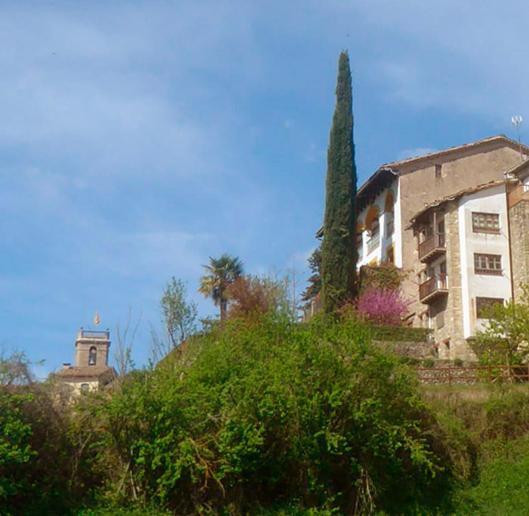 Cal Tofones, Baixos 2. Allotjament Turistic A Borreda Exterior photo